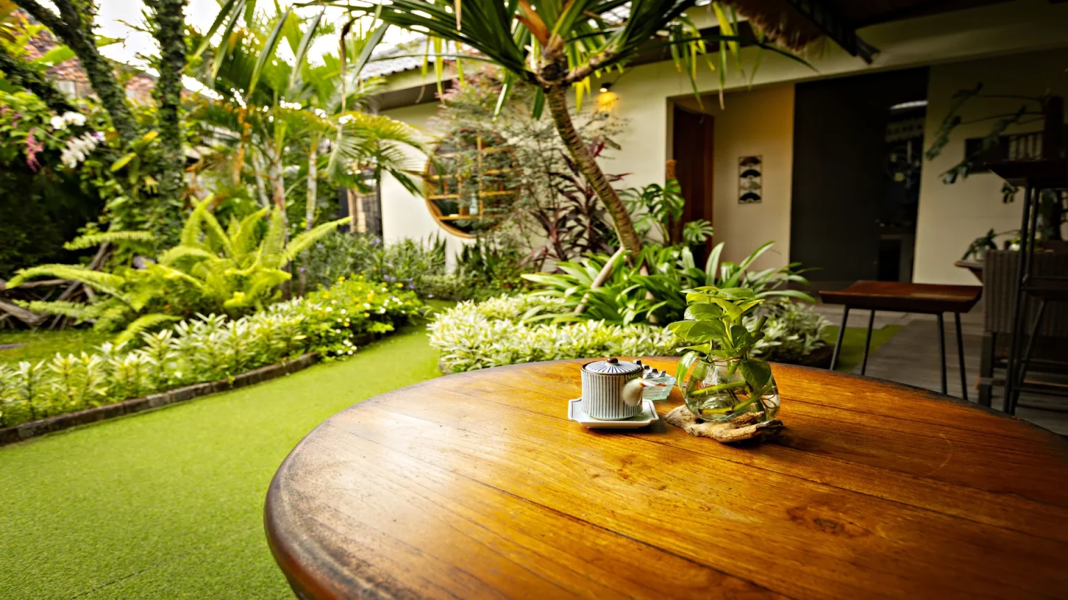 Best outdoor plants for home garden